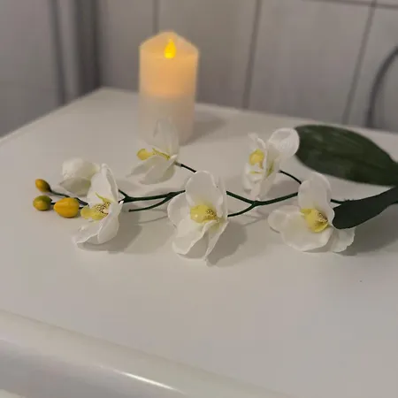 Bei Den Leuchttuermen Appartamento