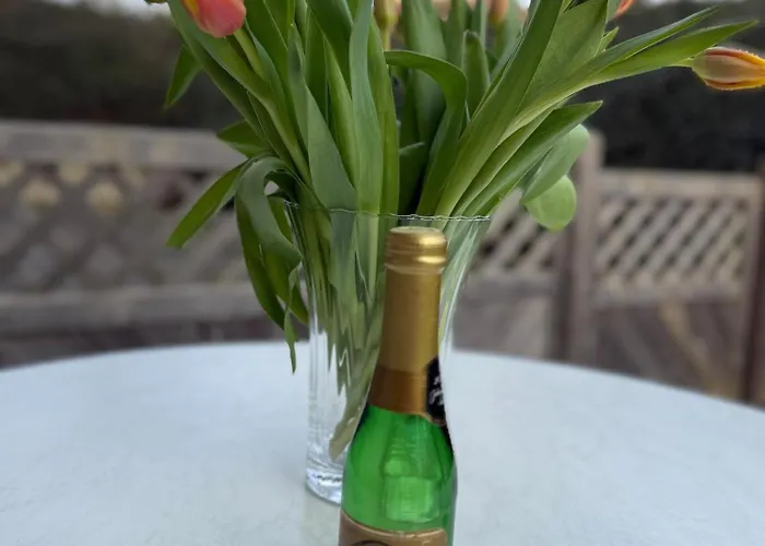 Bei Den Leuchttürmen Apartment *